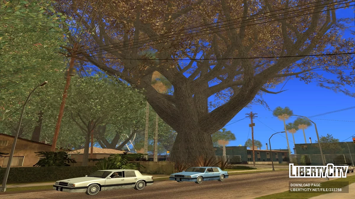 Много растительности на Гроув Стрит / GTA San Andreas