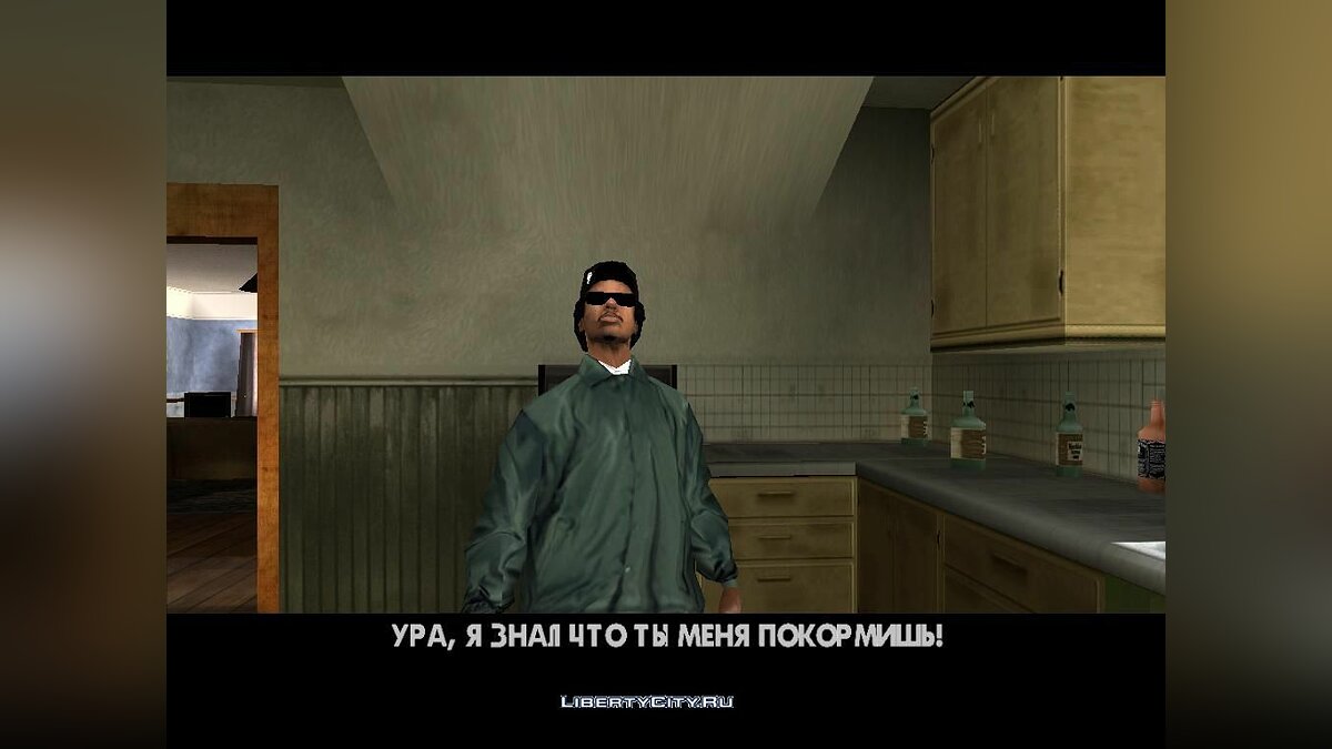 Скачать Один день из жизни Райдера для GTA San Andreas