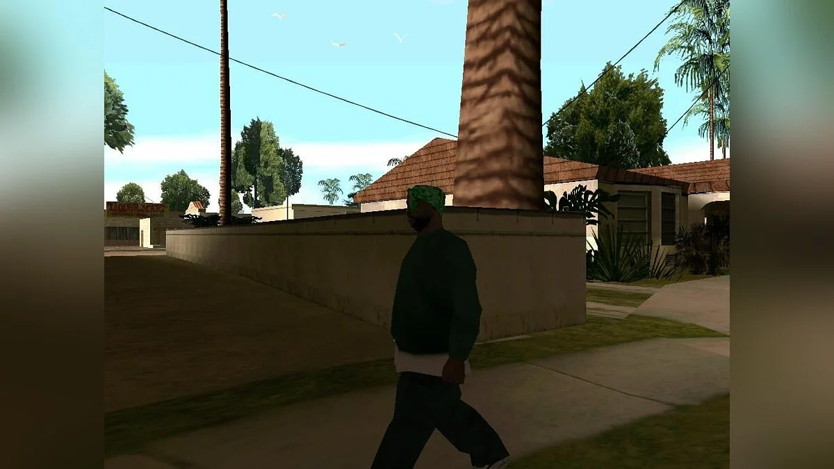 Неотложные дела / GTA San Andreas