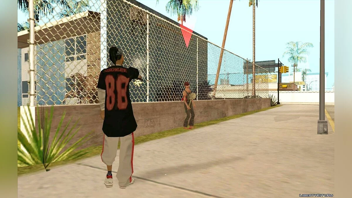 Приключения Дениз Робинсон. Часть Первая / GTA San Andreas