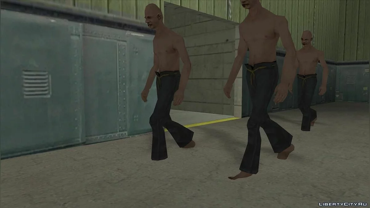 Alone in Area 69: Коллекционное издание / GTA San Andreas