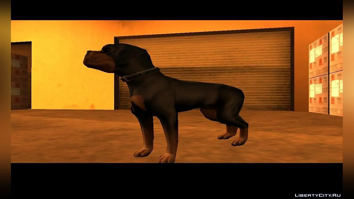 Subway Surfers / San Andreas Edition  / GTA San Andreas