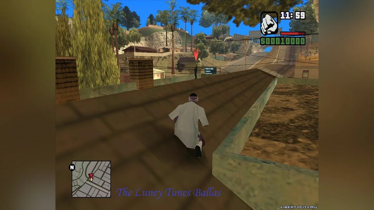 The Luney Tunes Ballas / GTA San Andreas