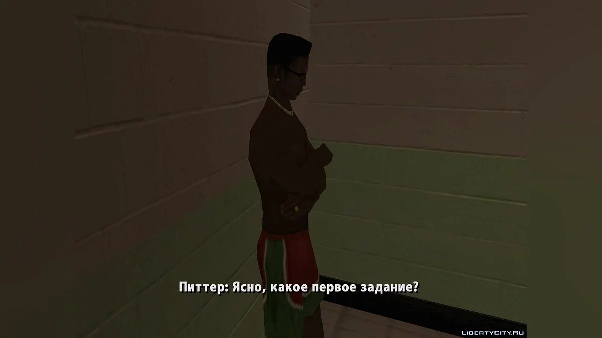 Агент 228 / GTA San Andreas