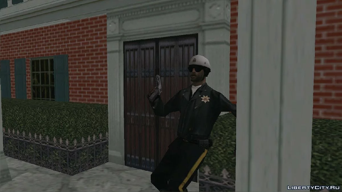 Theft / GTA San Andreas