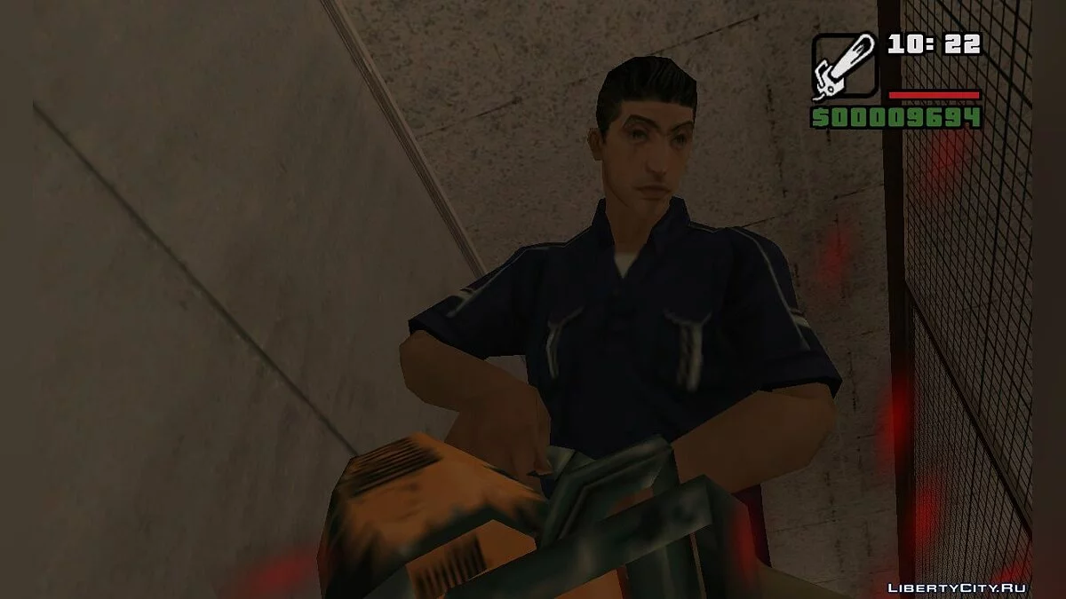 Жизнь и Смерть Нельсона / GTA San Andreas