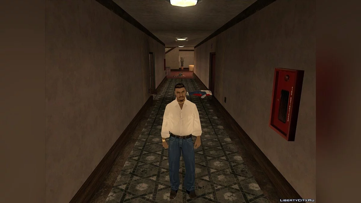 Смысл из пластмассы / GTA San Andreas