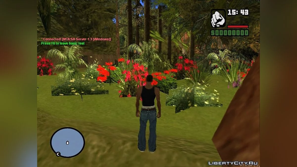 Uninhabited island (необитаемый остров) / GTA San Andreas