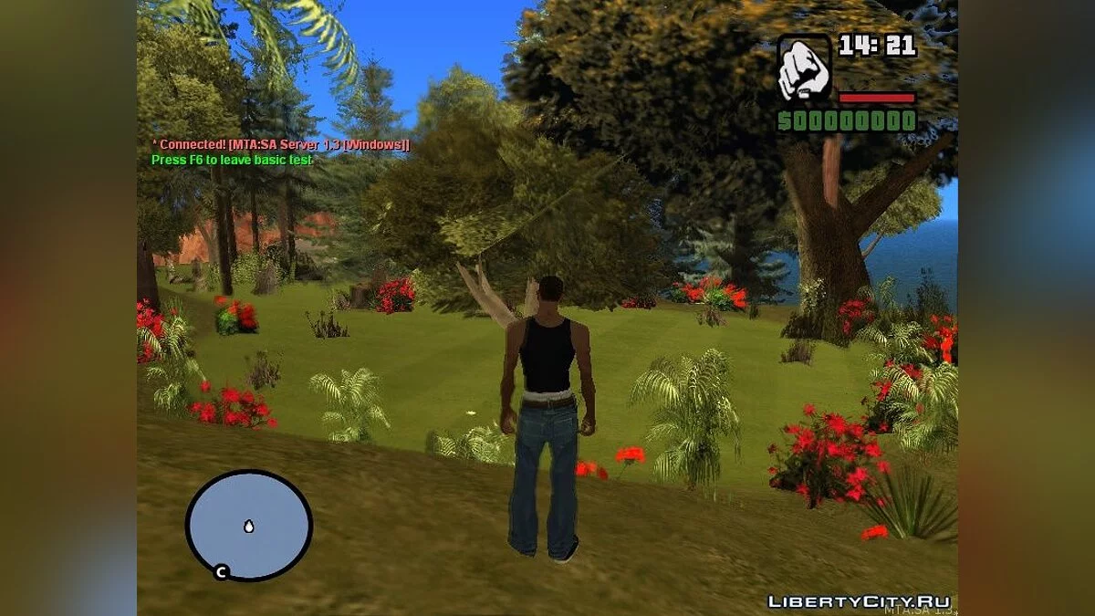 Uninhabited island (необитаемый остров) / GTA San Andreas