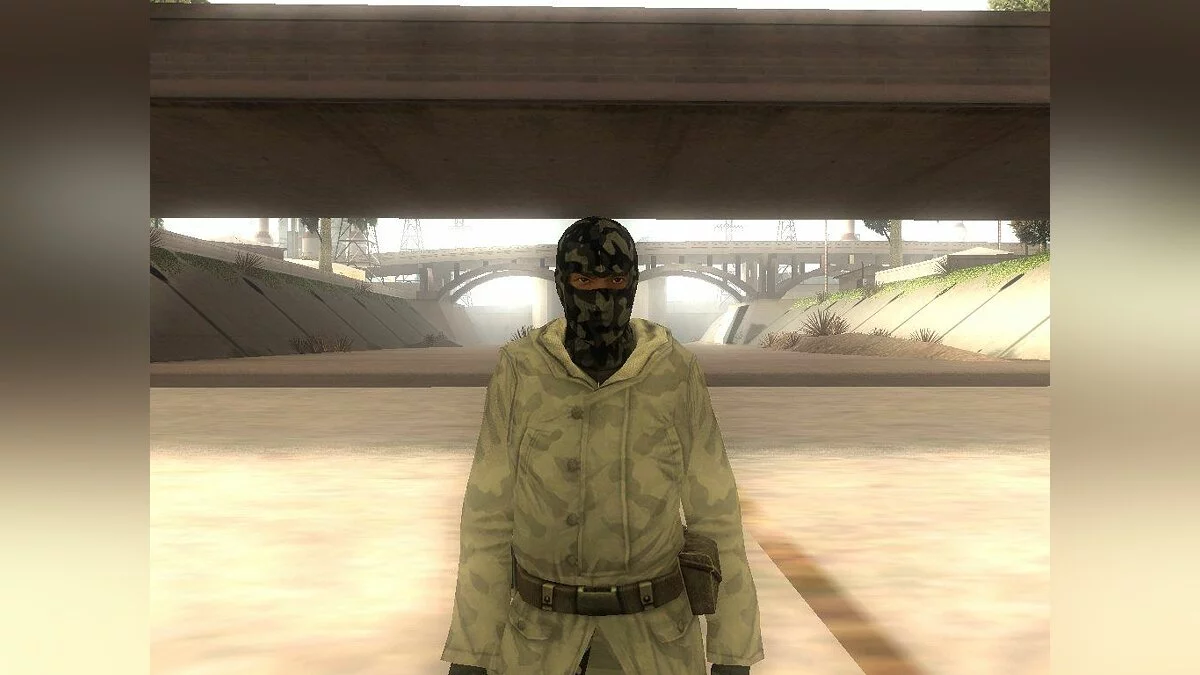 Arctic terrorist / GTA San Andreas
