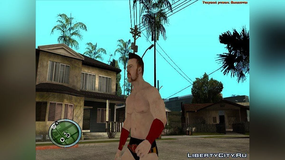 Sheamus Wii WWE'12 / GTA San Andreas
