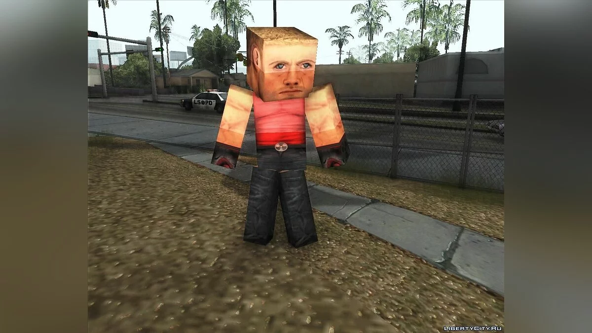 Minecraft big skins pack / GTA San Andreas