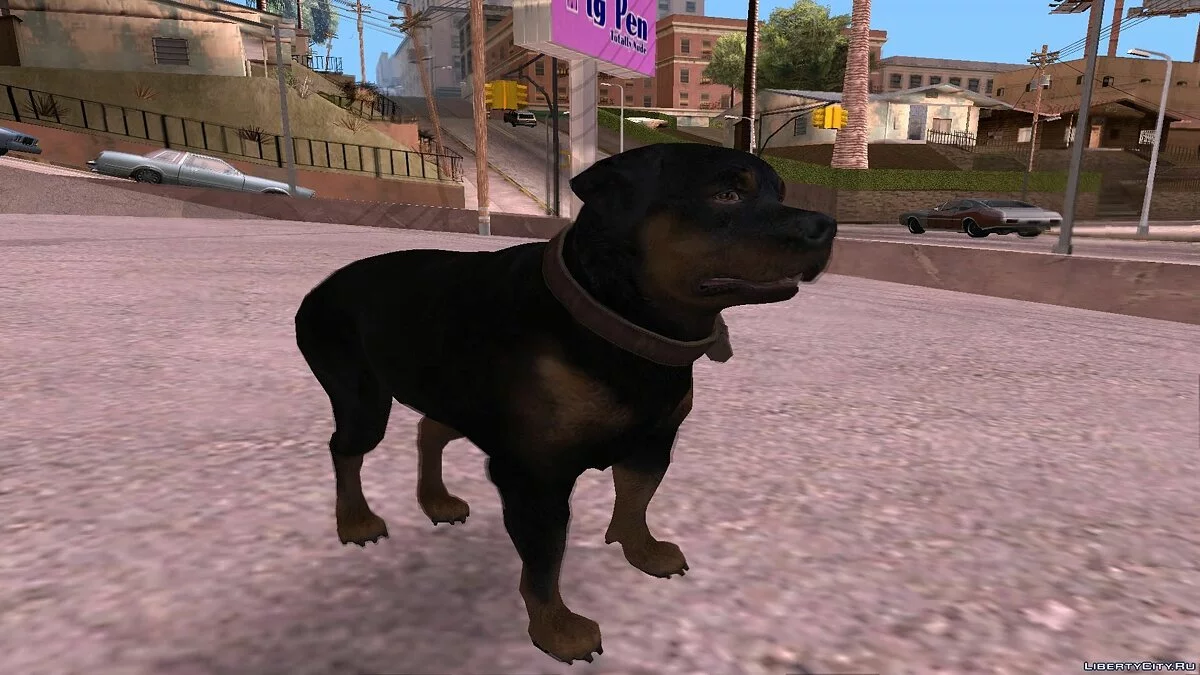 [GTA V] Chop  / GTA San Andreas