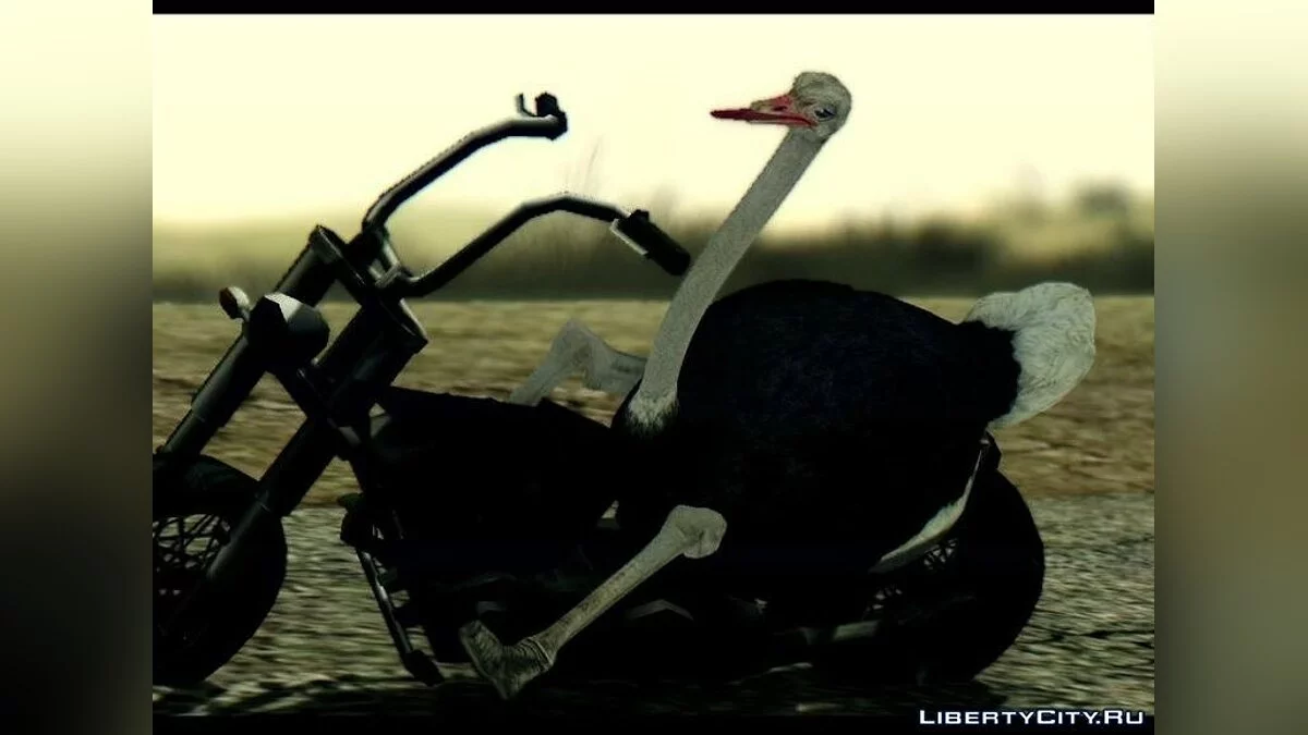 Ostrich From Goat Simulator / GTA San Andreas