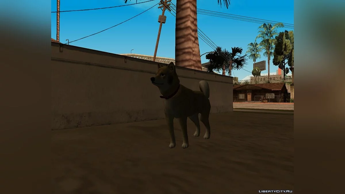 DOGE / GTA San Andreas