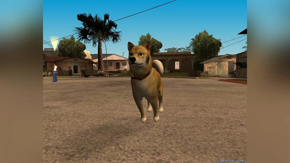 DOGE / GTA San Andreas