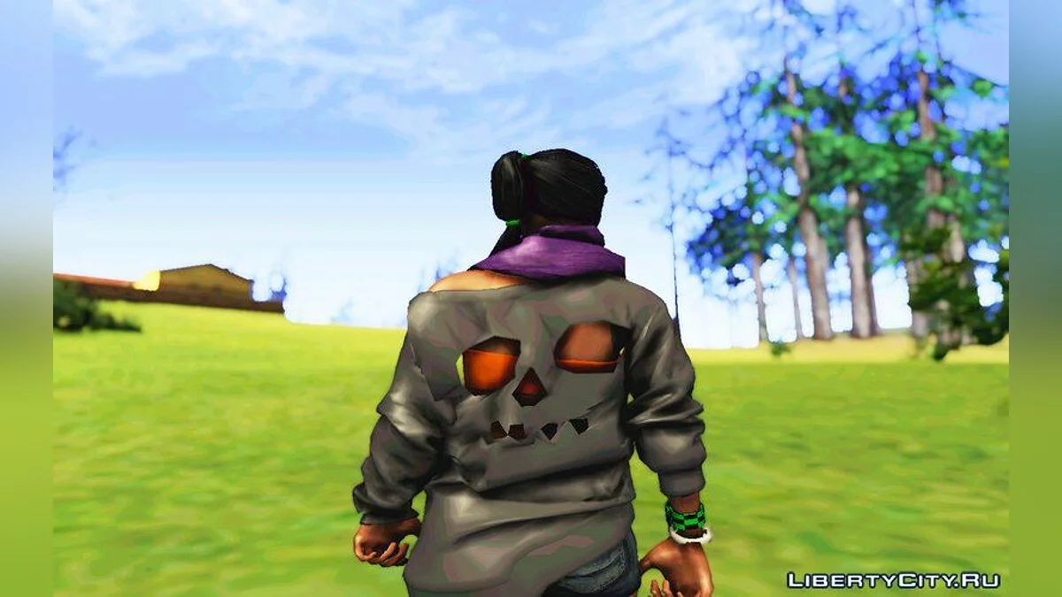 Watch Dogs 2: Sitara / GTA San Andreas