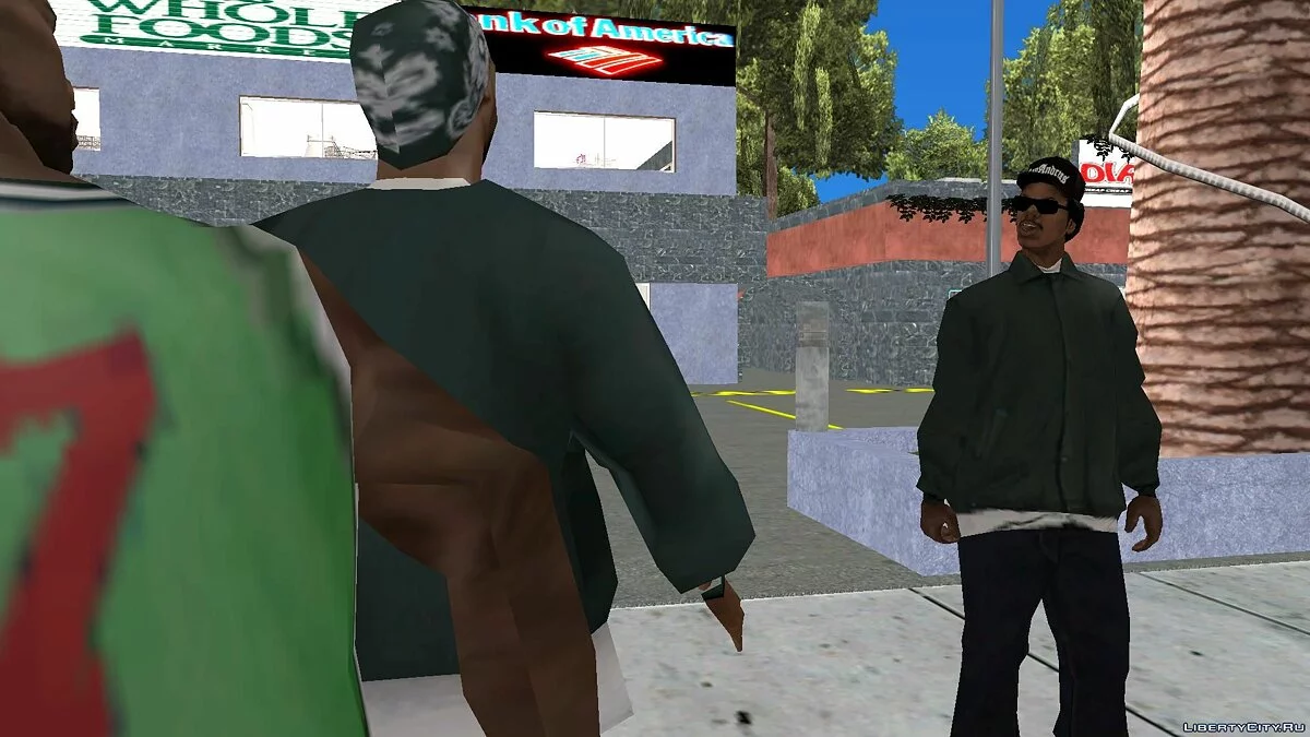 Райдер без очков / GTA San Andreas
