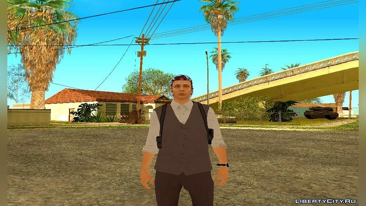 Рандомный скин из GTA Online №180 (День святого Валентина) / GTA San Andreas