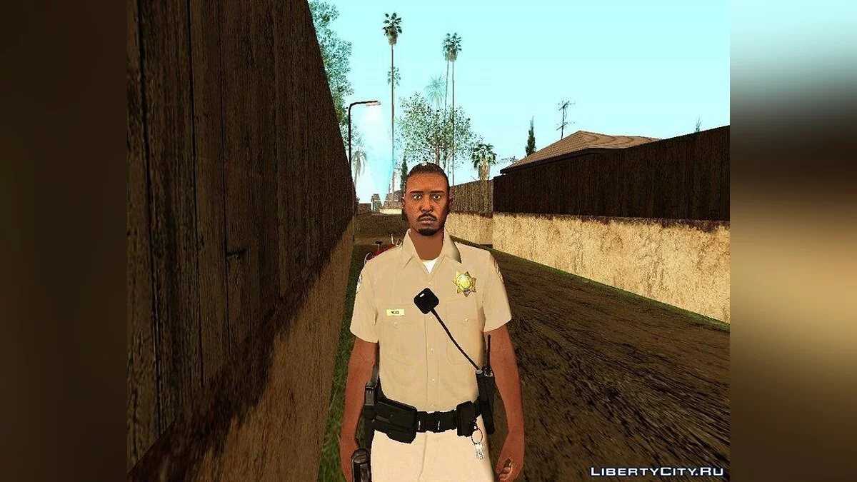 Рандомный скин #190 из GTA Online / GTA San Andreas