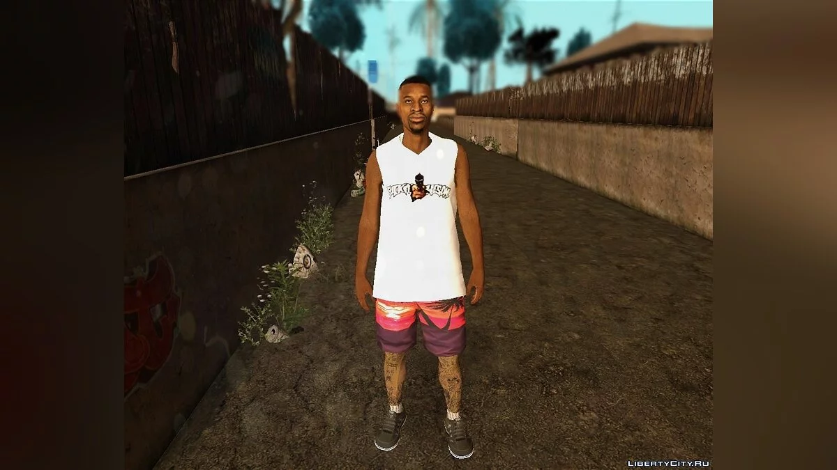 Рандомный скин #222 / GTA San Andreas
