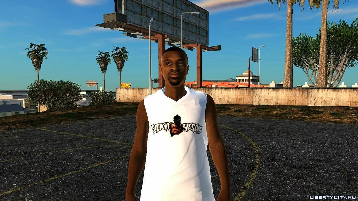 Рандомный скин #222 / GTA San Andreas
