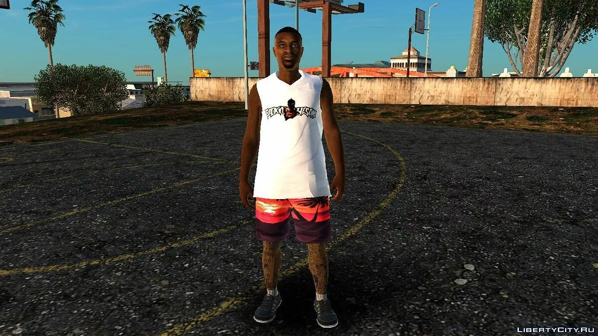 Рандомный скин #222 / GTA San Andreas