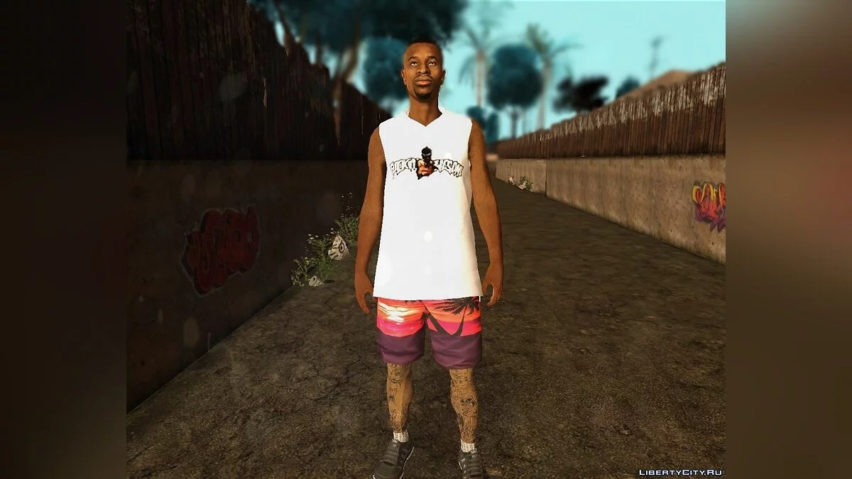 Рандомный скин #222 / GTA San Andreas
