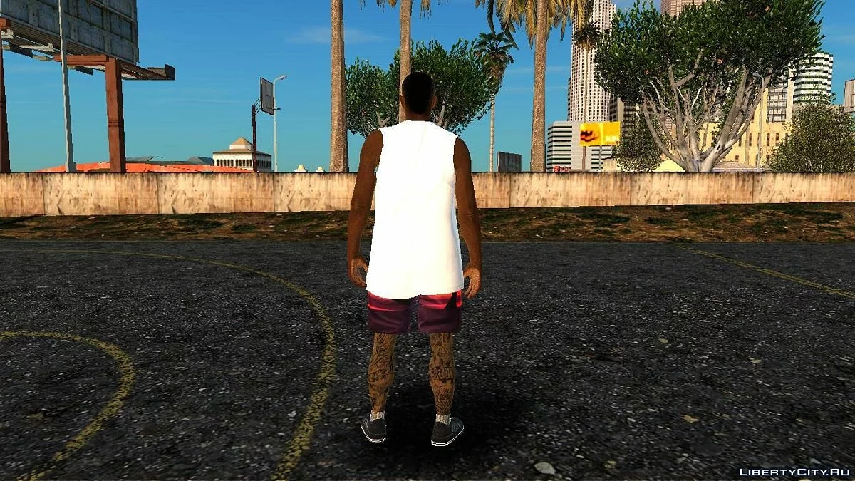Рандомный скин #222 / GTA San Andreas