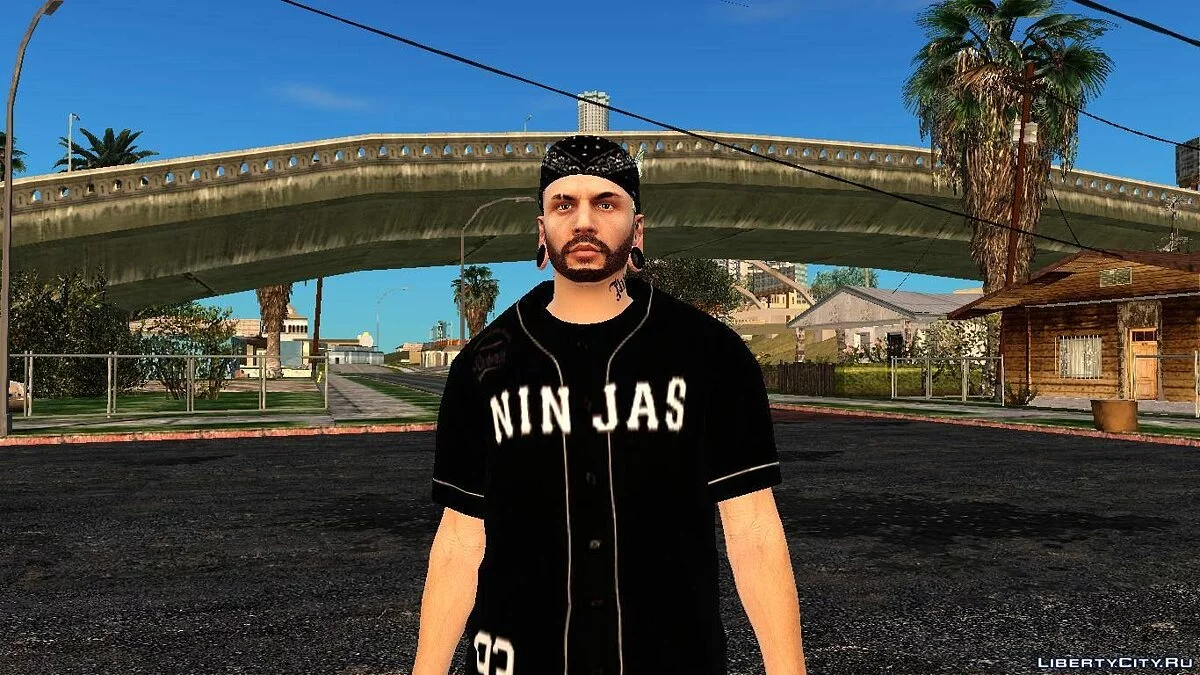Рандомный скин #224 / GTA San Andreas