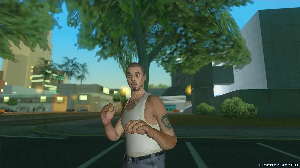Рандомный скин #229  (Цезарь из GTA SA) / GTA San Andreas