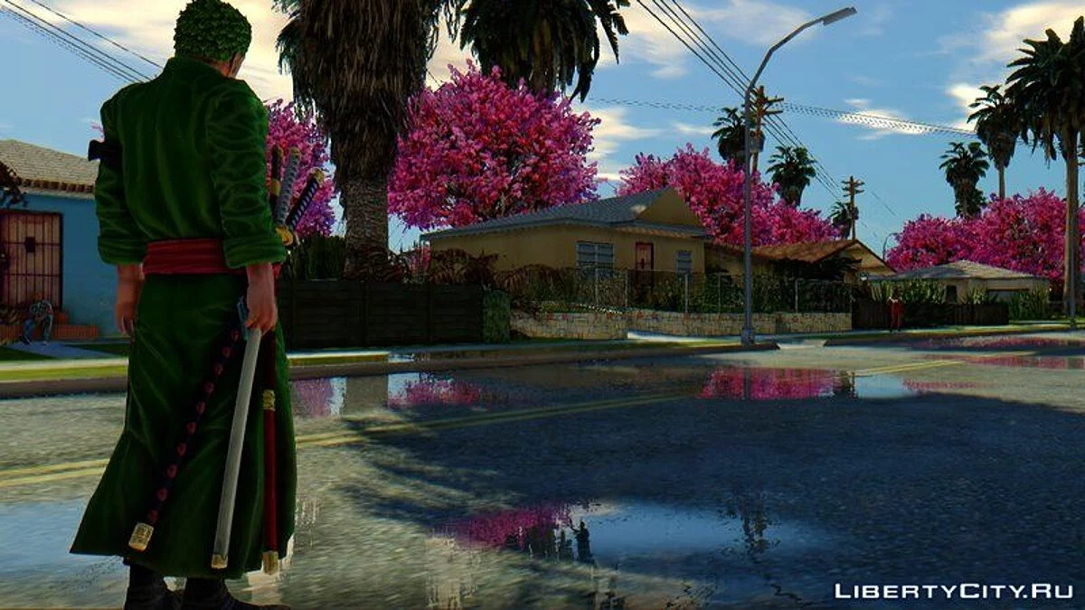 Ророноа Зоро / GTA San Andreas