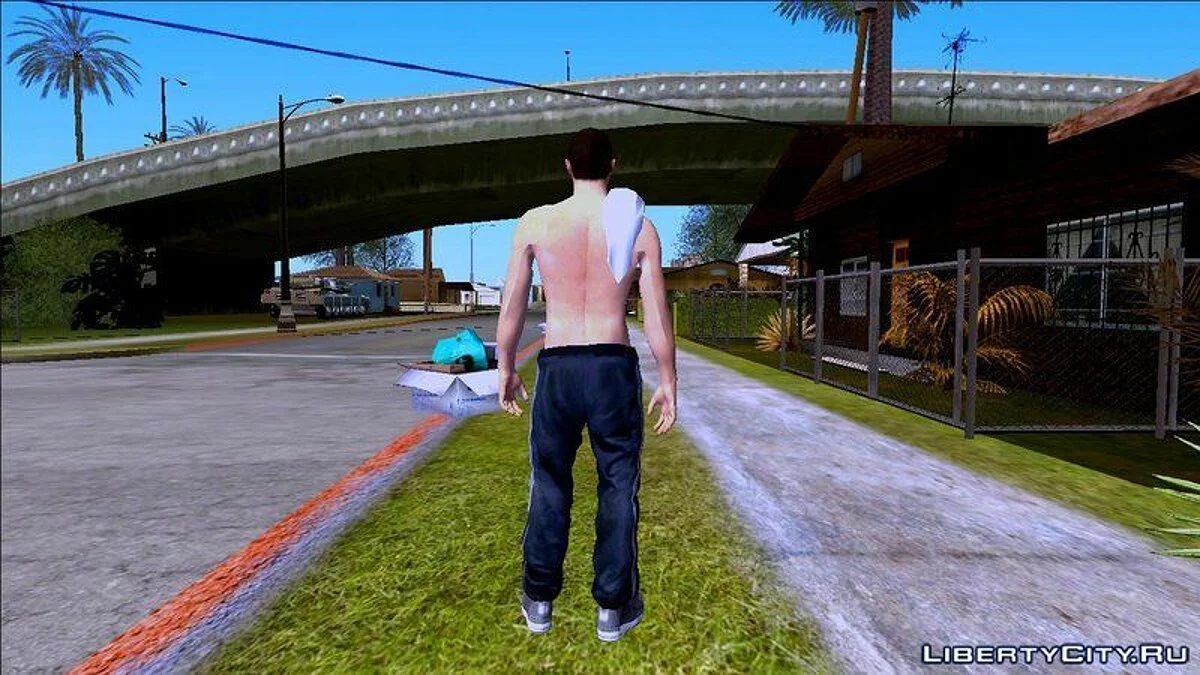 Рандомный скин #246 / GTA San Andreas