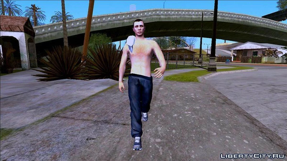 Рандомный скин #246 / GTA San Andreas