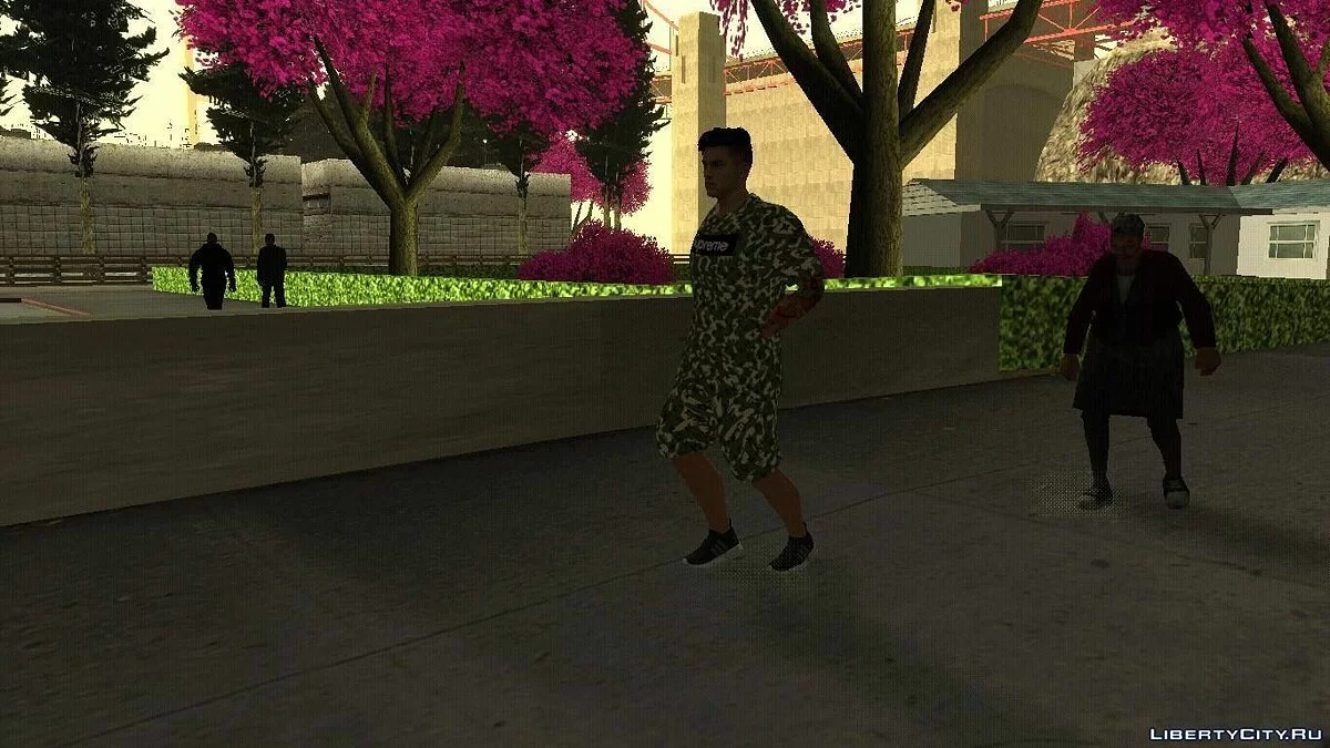 Рандомный скин #247 / GTA San Andreas