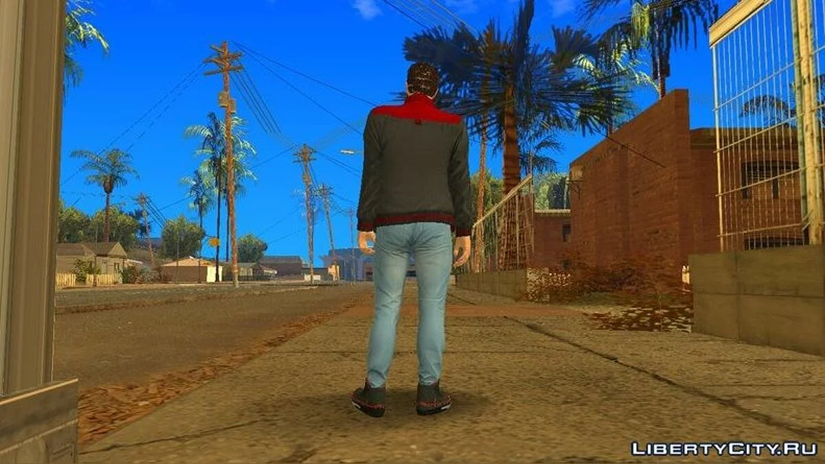 GTA Online рандомный скин #4 / GTA San Andreas