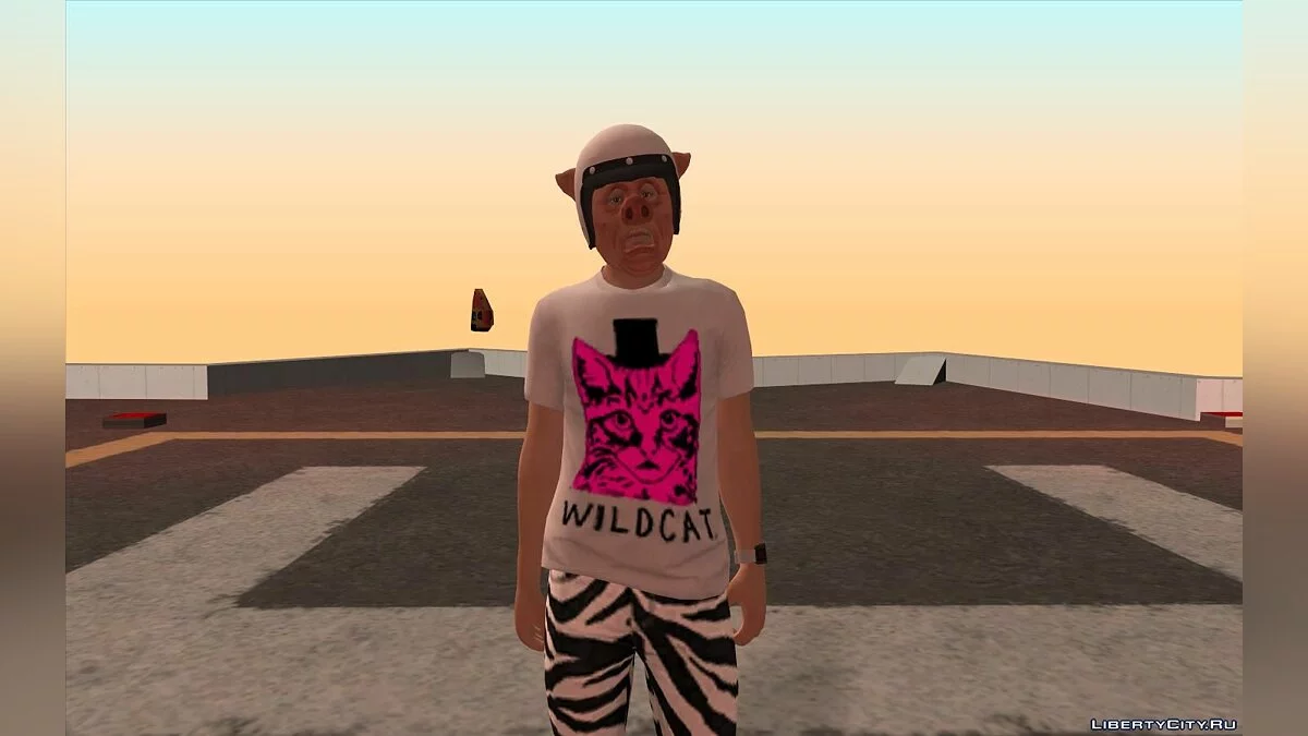 Wildcat Skin / GTA San Andreas