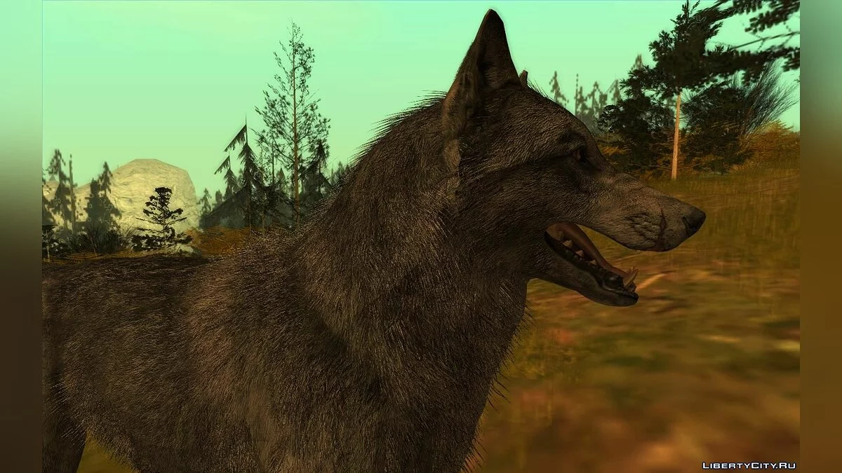 Волк из игры Call Of Duty: Ghosts / GTA San Andreas