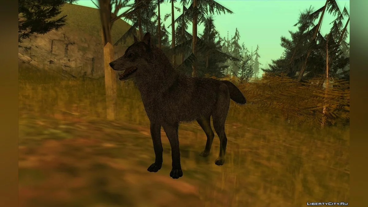 Волк из игры Call Of Duty: Ghosts / GTA San Andreas
