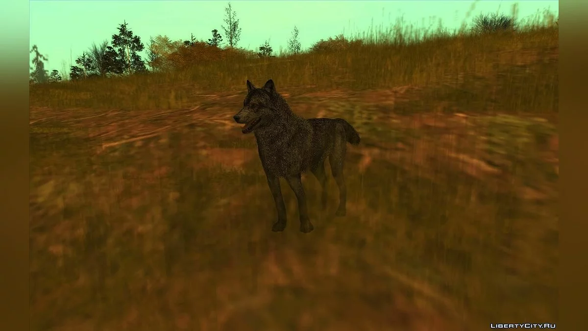 Волк из игры Call Of Duty: Ghosts / GTA San Andreas