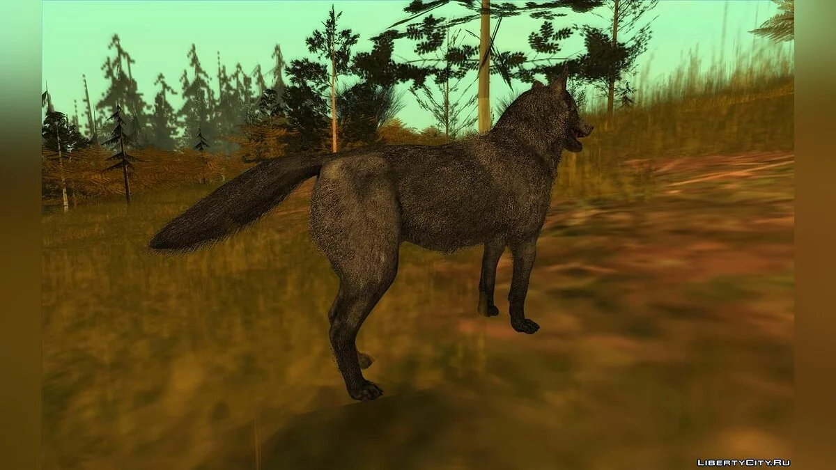 Волк из игры Call Of Duty: Ghosts / GTA San Andreas