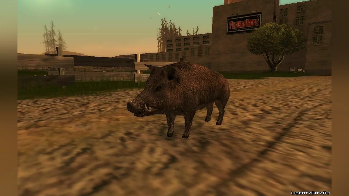 Боров (кабан) / GTA San Andreas