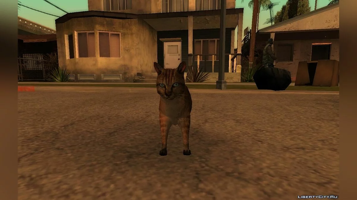 Кошка / GTA San Andreas