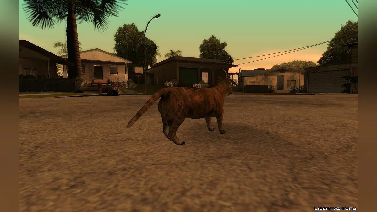 Кошка / GTA San Andreas