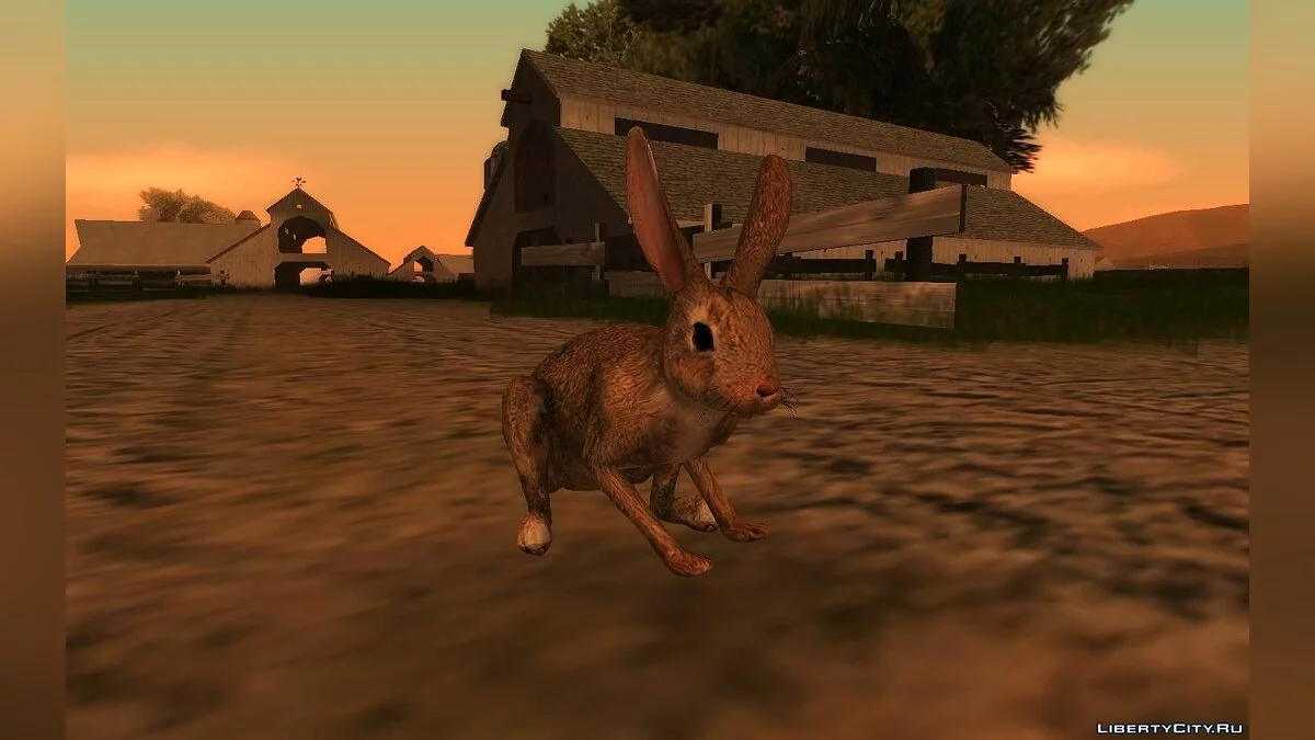 Кролик  / GTA San Andreas
