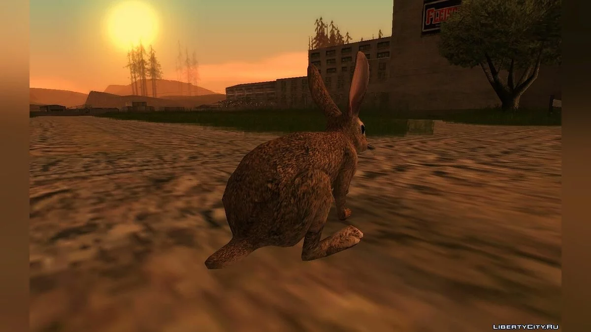 Кролик  / GTA San Andreas