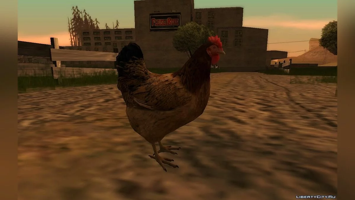 Курица / GTA San Andreas