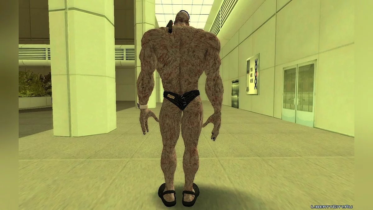 Немезиз 2020 (весенние каникулы) / GTA San Andreas