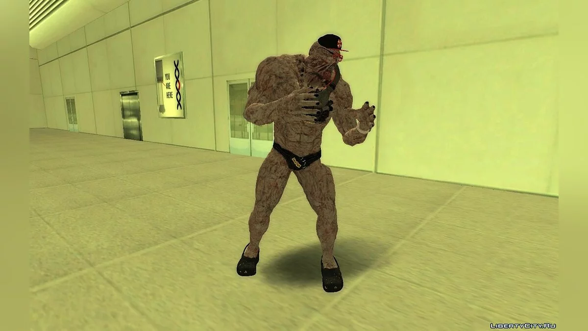 Немезиз 2020 (весенние каникулы) / GTA San Andreas