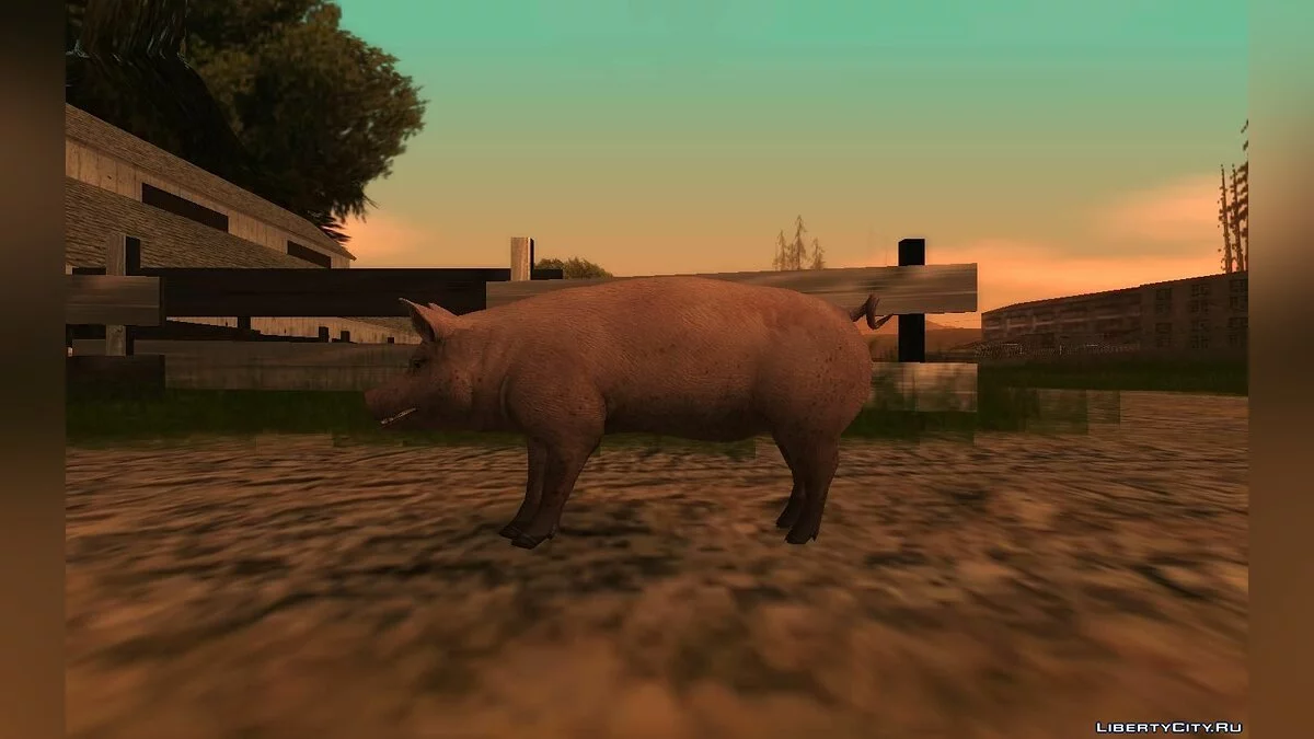Свинья / GTA San Andreas